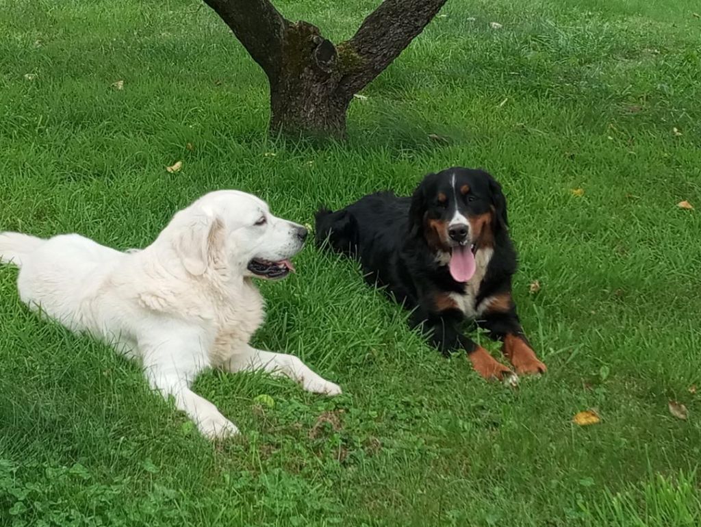 Vedette Titre Initial