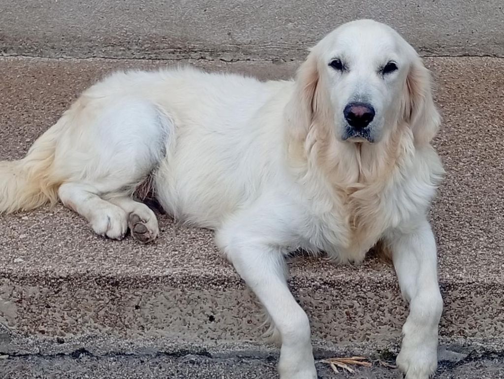 Utopie Du Domaine D'Izella